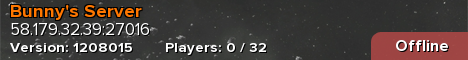 Bunny's Server